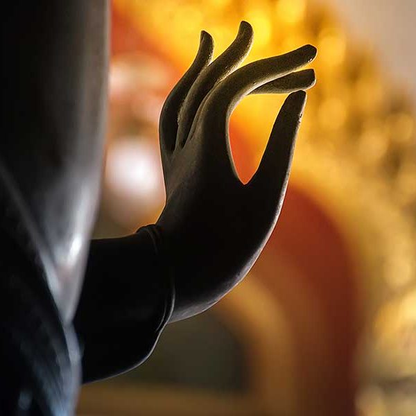 Traditional dharma studies